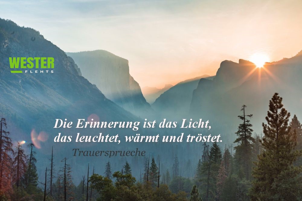 Trauer und Erinnerung: Emotionale Verarbeitung und bleibende Spuren im Leben Trauer und Erinnerung: Emotionale Verarbeitung und bleibende Spuren im Leben